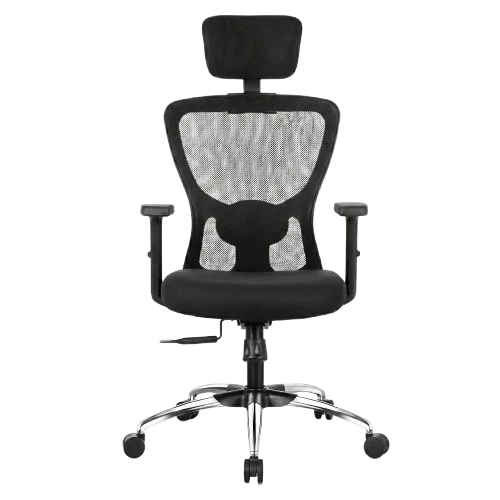 Aevin Pro Ergonomic Office Chair for Professionals | Multi-Lock Synchro Tilt Mechanism