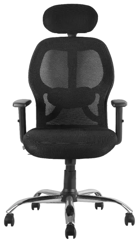 Fitwell Ergonomic Office Chairs, Executive
